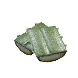 Agave