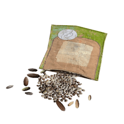 Assorted Seeds